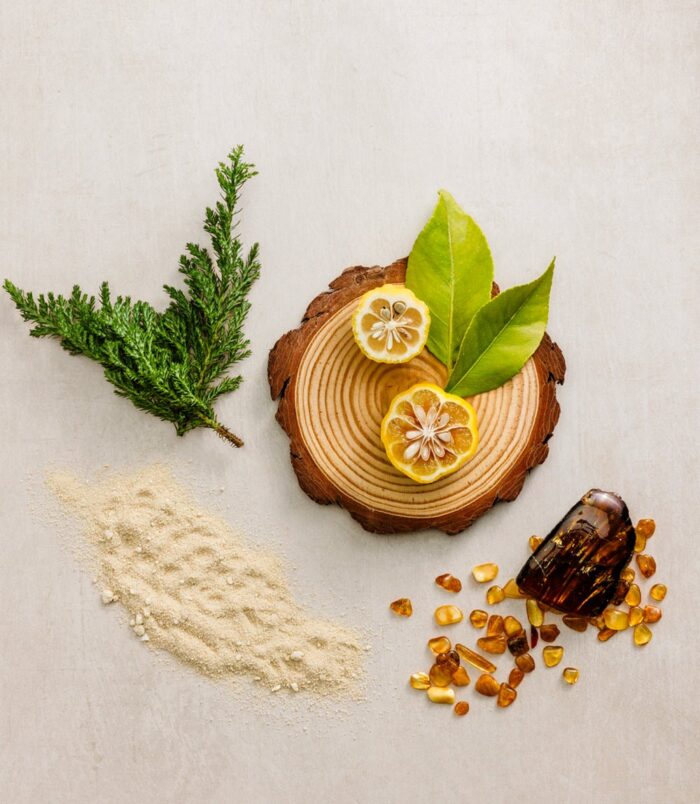 2025/12/74529.jpg 2025/12/74529.jpg