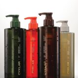 imgi_1_463654187_1264930754943913_245834223108922675_n