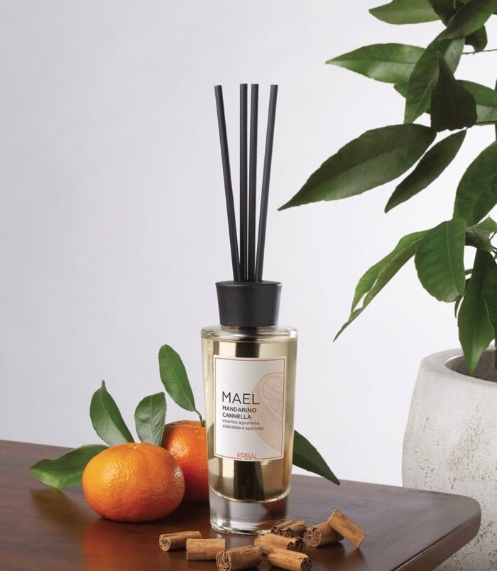 2026/01/1000660782.jpg 2026/01/1000660782.jpg