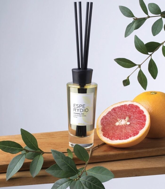 2026/01/1000660784.jpg 2026/01/1000660784.jpg