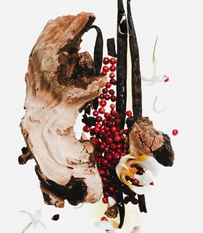 2026/01/1000660994.jpg 2026/01/1000660994.jpg