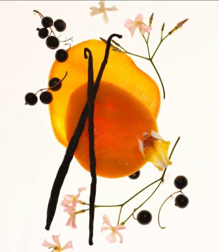 2026/01/1000661014.jpg 2026/01/1000661014.jpg