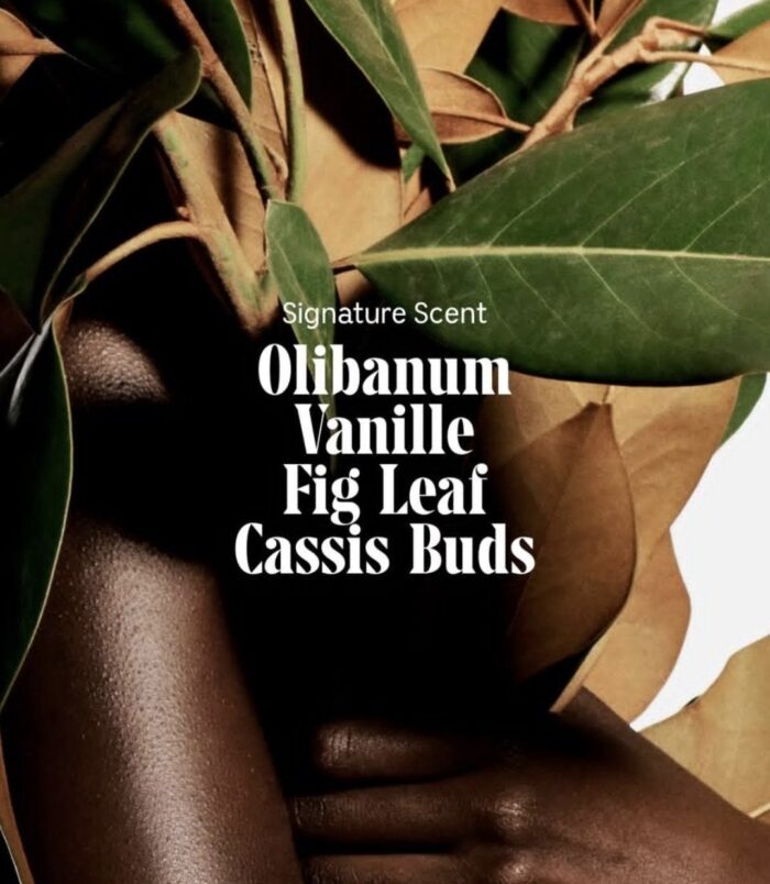 2026/01/1000664289.jpg 2026/01/1000664289.jpg