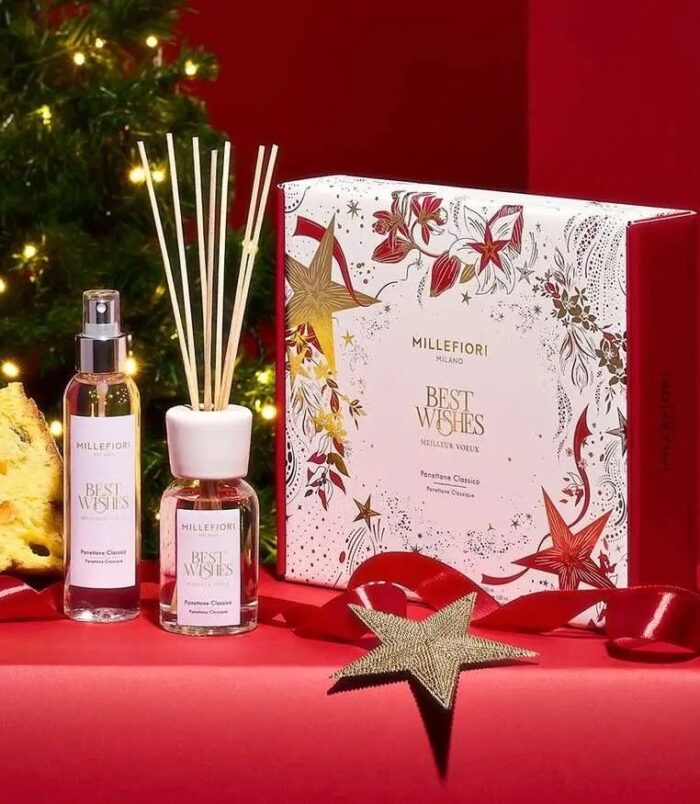 2026/02/1000667074.jpg 2026/02/1000667074.jpg