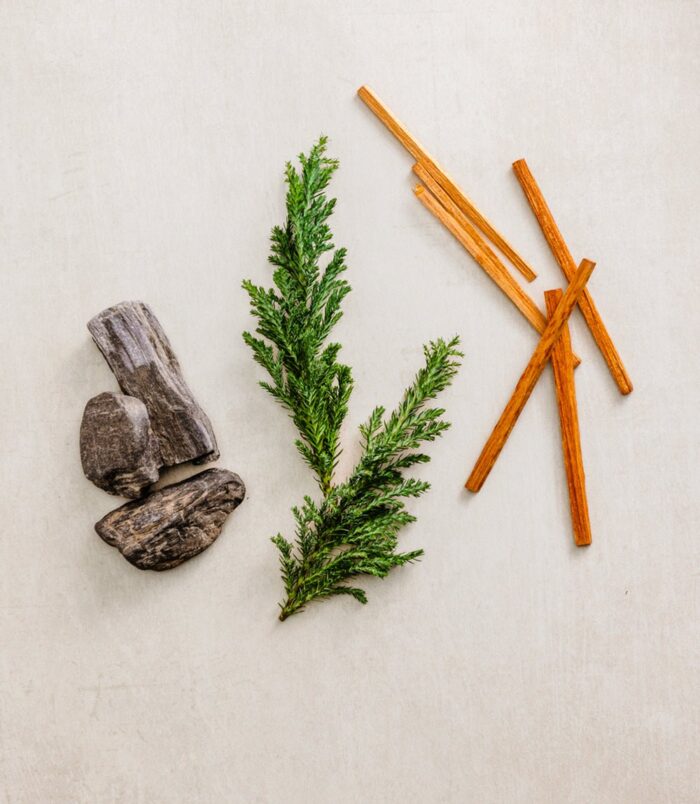 2026/02/74377.jpg 2026/02/74377.jpg