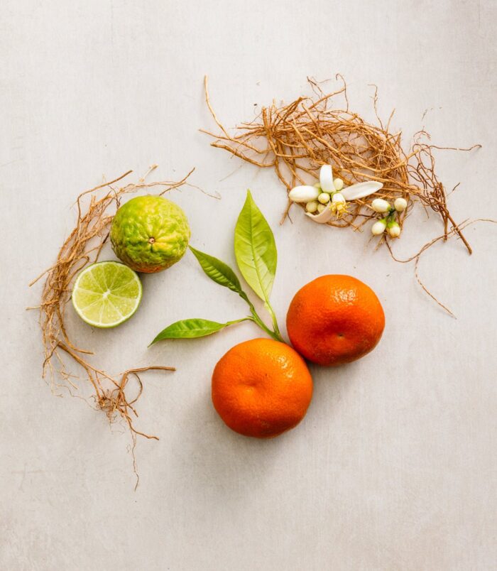 2026/02/74411.jpg 2026/02/74411.jpg