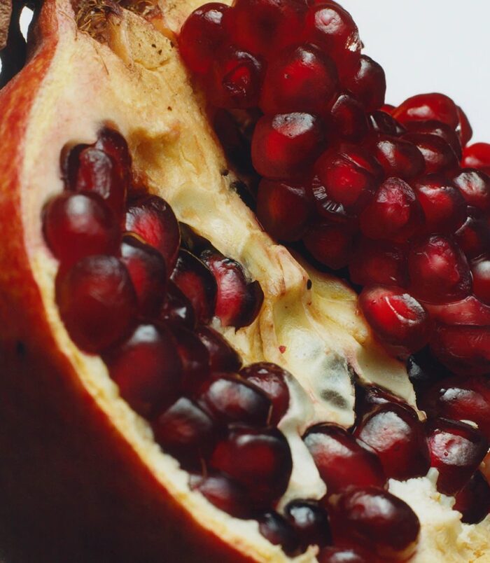 2026/02/74688.jpg 2026/02/74688.jpg