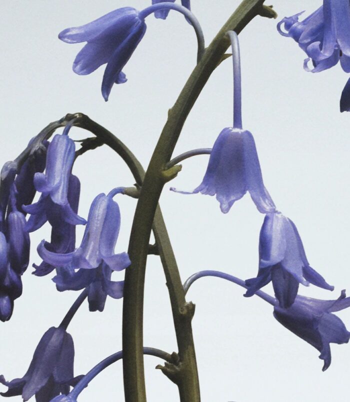 2026/02/74711.jpg 2026/02/74711.jpg