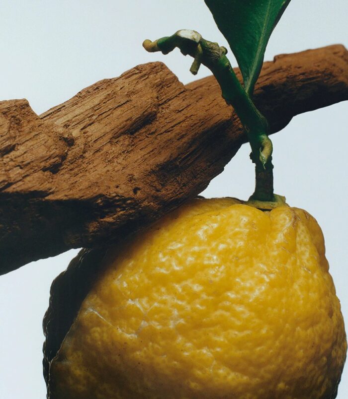 2026/02/74758.jpg 2026/02/74758.jpg